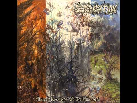 Decaying Purity - Infernal Restraints Over Purgatory NEW SONG (2014)