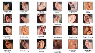 Every Type of Ear Piercings Explained in 8  Minutes