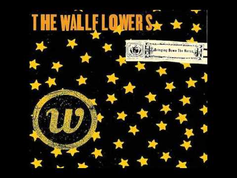 The Wallflowers - Invisible City