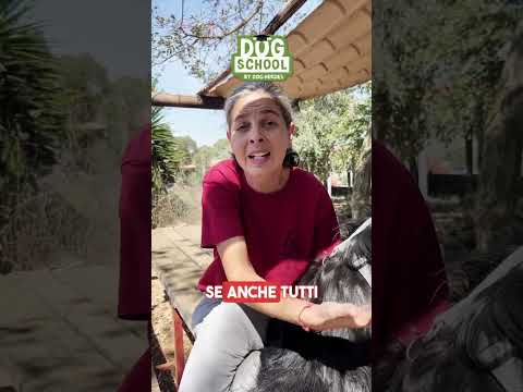 Sciolto o legato ... questo è il dilemma