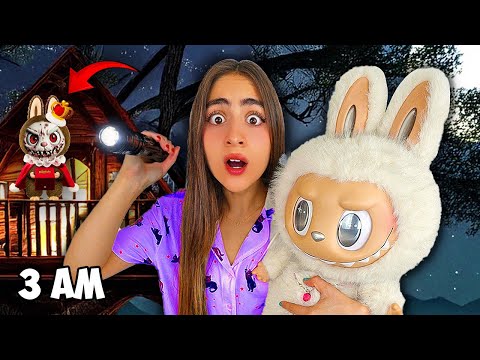 24 hours in a HAUNTED Labubu SECRET Room! 
