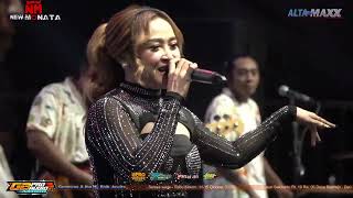 Download lagu GERAJAKAN BANYUWANGI - INTAN CHACA - NEW MONATA mp3
