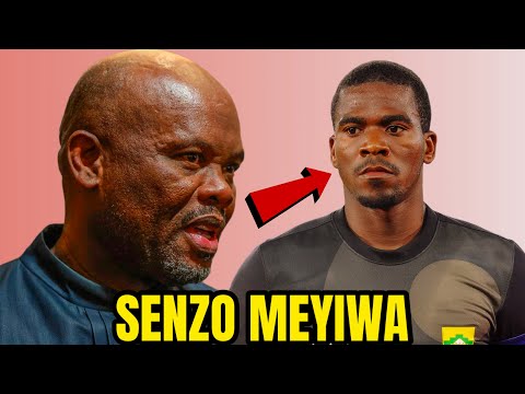 Shadrack Sibiya Finally Explains What Happened The Day SENZO MEYIWA Was Killed 