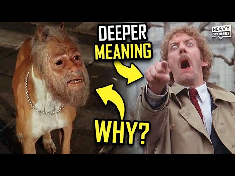 INVASION OF THE BODY SNATCHERS (1978) | Ending Explained, Making Of, Differences & Film Analysis