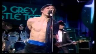 Iggy Pop live@ OGWT 1979