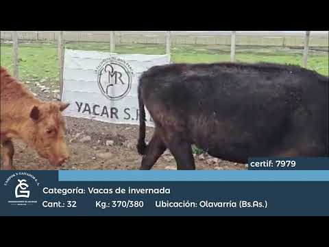 Lote VC INV- Olavarría Bs As