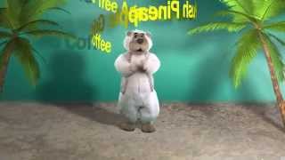 Download lagu Energizer Dance   Charlie Bear   Agadoo mp3