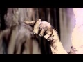 Nami - Silent Mouth (Lyric Video) 