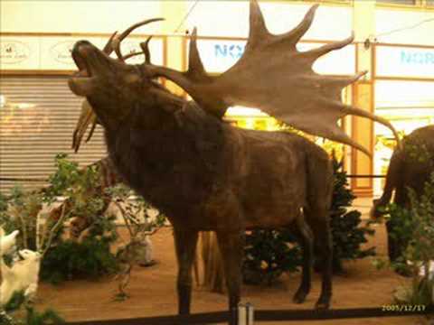 Graham Bonney  Siebenmeilenstiefel