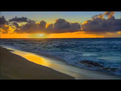 Sợ em giận Sheet - Ý Lan