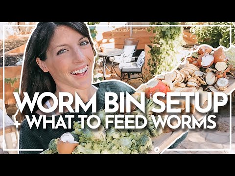 HOW TO SETUP A WORM FARM + WHAT TO FEED WORMS | Vermicomposting | Hey It's A Good Life