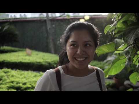 Proyecto Teoría de la imagen Visual ESPOL 2017