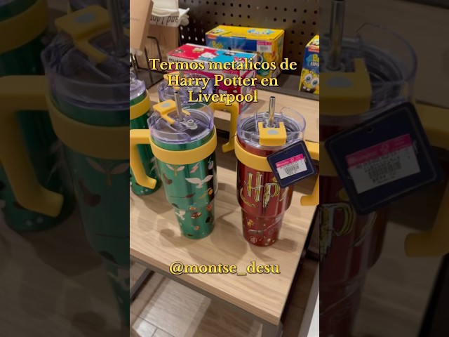 Vídeo relacionado con Grupo Erik Botella Harry Potter - Botella agua acero inoxidable Termica Hogwarts 500ml - Harry Potter Regalos (Termo agua) | Water bottle con tapon hermético y Aislamiento Doble pared Frio/Calor