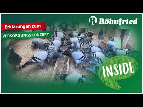 Röhnfried Inside Spezial - Das Versorgungskonzept 2022