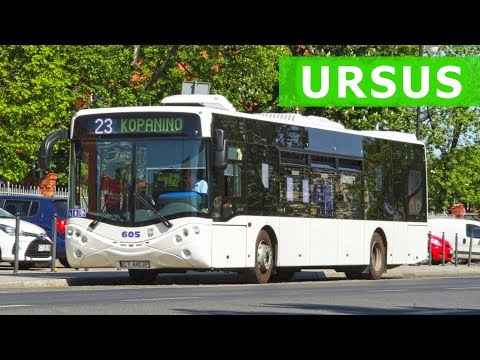 Nowy polski autobus Ursusa / Ursus - New Polish diesel bus
