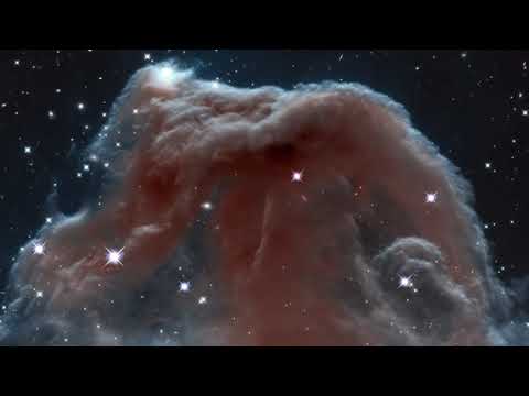 Trailer THE CALL OF THE COSMOS - Illustra Media - Official Trailer