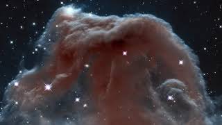 THE CALL OF THE COSMOS - Illustra Media - Official Trailer