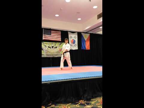 Northeast Open Traditional Kata 2013
