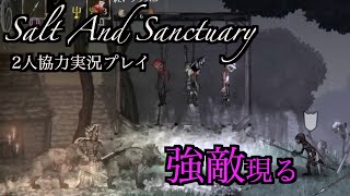 ＃4[2人実況プレイ] Salt And Sanctuary