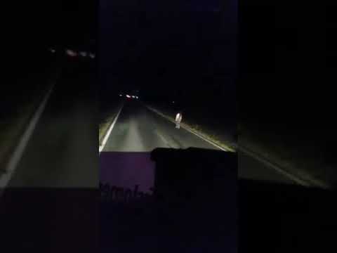 La misteriosa dama de la noche caminando por una ruta