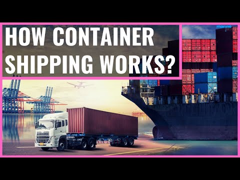 How Container Shipping Works?