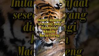 Download lagu Inilah 6 manfaat khodam macan loreng #macanloreng #khodammacan #kibaguspurwas mp3 Download lagu Inilah 6 manfaat khodam macan loreng #macanloreng #khodammacan #kibaguspurwas mp3