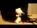 Dancing Mouse Zu Ritchie Valens La Bamba