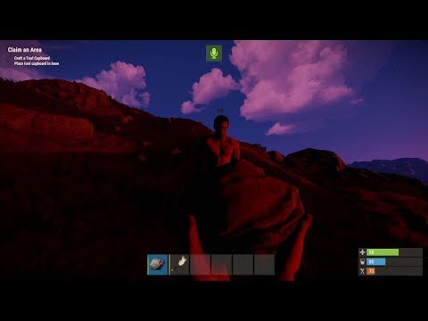 Rust: Quick Look