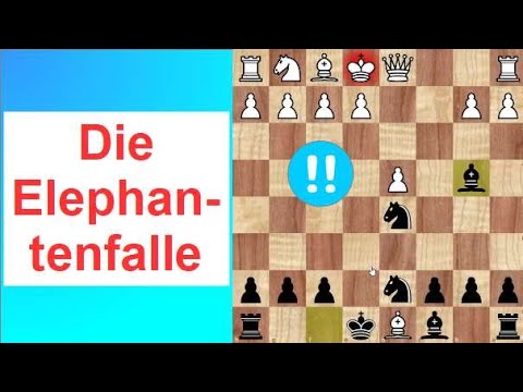 Die ELEPHANTENFALLE!!! Eine gefährliche Eröffnungsfalle!