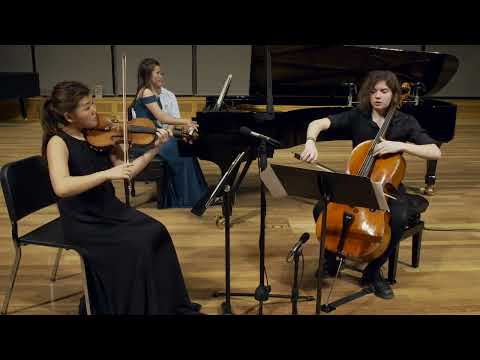 Brahms Piano Trio No. 1 in B Major, Op. 8: Allegro con brio | The Shir Trio