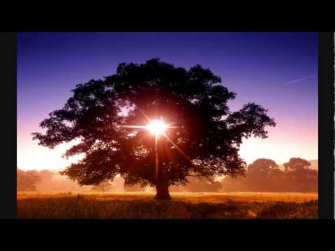 Bahr Mimesis - Tribute To S.U.N.  Festival 2014 [2nd Edition]