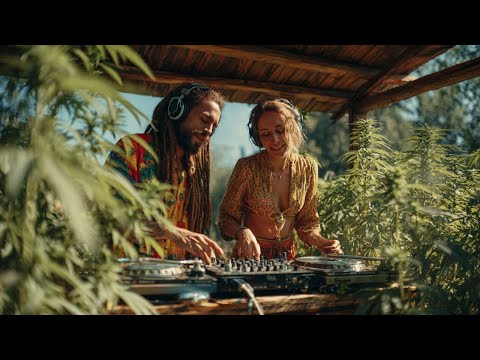 TROPICAL DUB JOURNEY 2025 🏝️ VIBES FROM THE ISLANDS