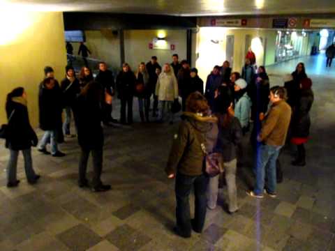 The Flat Nuts: Minority