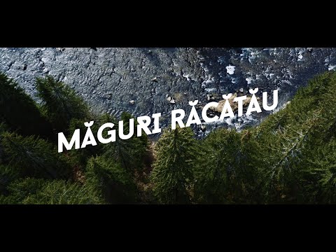 Maguri Racatau | FRII