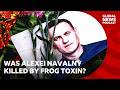 Killed By A Dart Frog Toxin Investigating Alexei Navalny S Death Global News Podcast