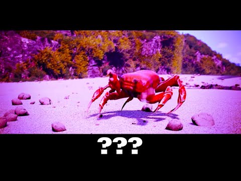 15 Crab Rave Sound Variations in 60 Seconds