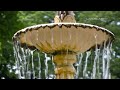 Jimmy Williams - Rain (LandscapeHD)