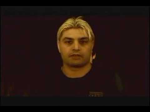 BANDA ALTERNATIVA | PINGUITON