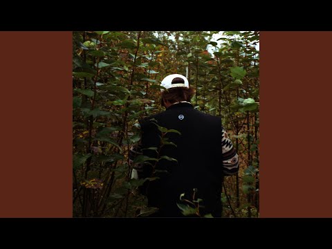 Mille et une raisons