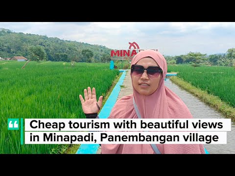 Wisata murah dengan pemandangan indah di minapadi panembangan