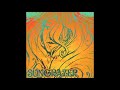 Sungrazer Discography 2010 2013