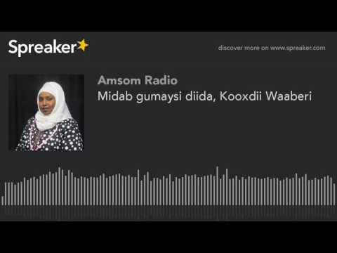 Midab gumaysi diida, Kooxdii Waaberi