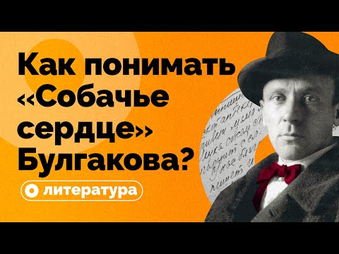 Как понимать «Собачье сердце» Булгакова?