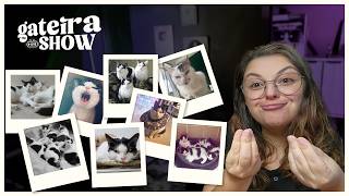 DEIXARAM uma Gata GRÁVIDA na minha casa | Gateira Live Show #015
