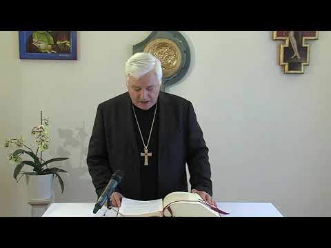 Vita cristiana come cammino di trasfigurazione IV giorno