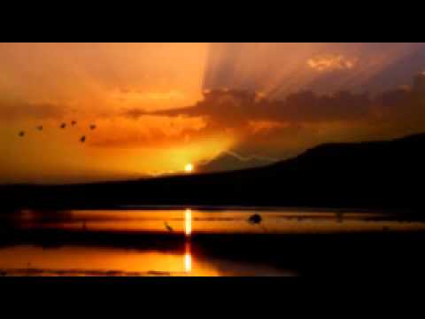 1163 Oriental - Marcus Viana - Vrndavana