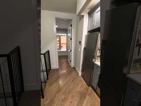 video 1