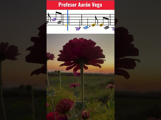 Vídeo relacionado con Ausla Cuaderno de Notación Musical de 50 Páginas, Libro de Música para Anotar Piezas Musicales para Compositores y Aficionados, Bloc de Notas A4, Accesorios para (Patrón de nota