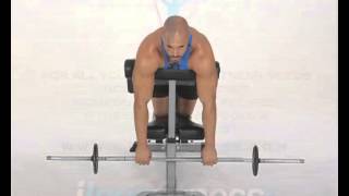 Reverse Grip Barbell Spider Curl exercise video thumbnail