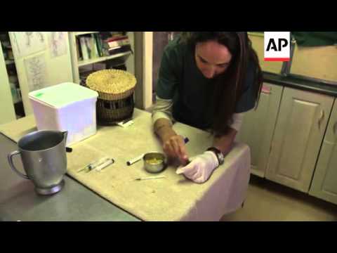 Wildlife shelter offers a refuge for indigenous animals in need